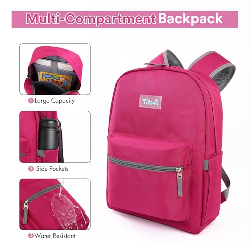 Tilami 20L Basic Backpack,17 inch Laptop Backpack for Travel,Water Resistant Bookbag,Plum Red3
