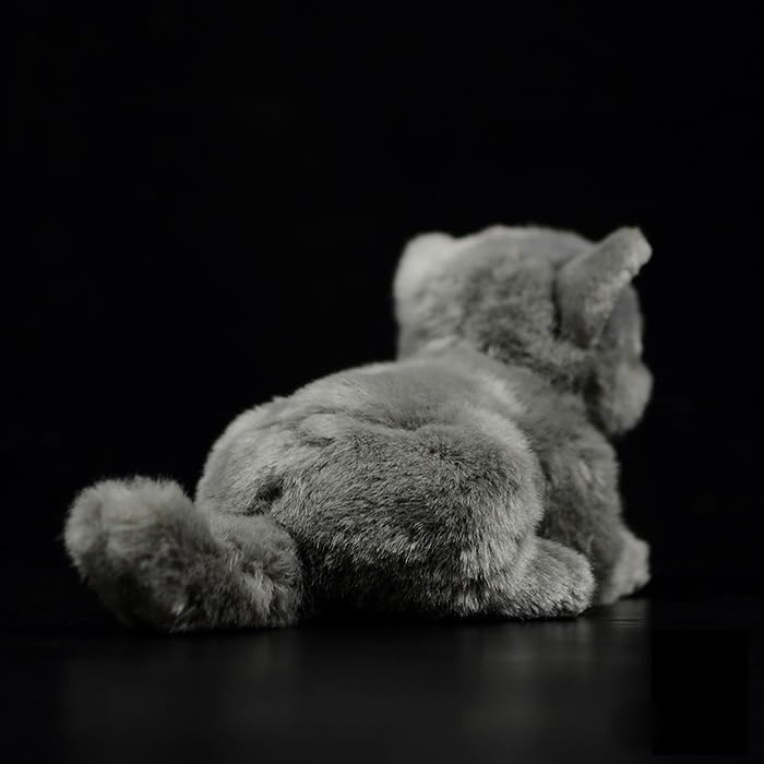 Dünenkatze Plüschtier – Realistisches, Weiches Stofftier, 11 Zoll (ca. 28 Cm) Gelb