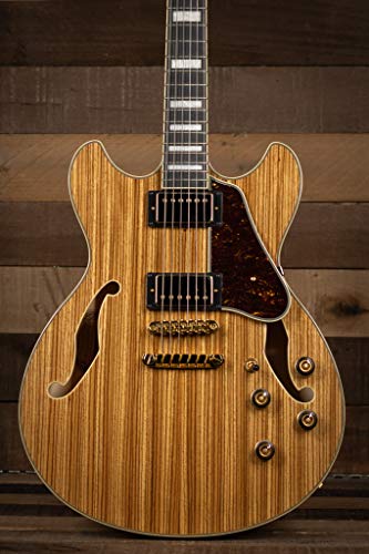 Ibanez As93Zw Artcore Expressionist Zebra Wood Semi-Hollow Body #TOP27