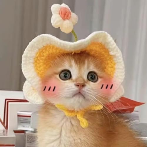 �y�b�g �X�q �L��蕨 �����y�b�g�p �p���_ �N�} ���� ���t�� �~ �h�� �L ���^�� �g�����X�q �L�p ���p ��蕨 ���Ԃ���ϑ� ���o���� �����΍� �R�X�`���[�� �R�X�v�� �N���X�}�X �}�W�b�p�i ���U�� �A�E�ȒP �L�O�B�e (12-�C�G���[,S�T