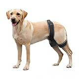 lanoune Dog Joint Support for Luxating Patella Dog Hip Orthotics Brace Relieving Hip Pain Prevention and Improvement of Joint Dysplasia(S)