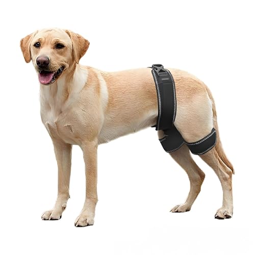 lanoune Dog Joint Support for Luxating Patella Dog Hip Orthotics Brace Relieving Hip Pain Prevention and Improvement of Joint Dysplasia(S)