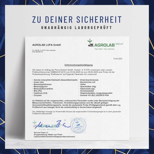 Magnesium Komplex hochdosiert - Komplex mit: Magnesiumcitrat, Bisglycinat, Magnesium Malat und Magnesiumoxid - Vegan - 180 Kapseln