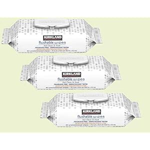 Flushable Wipe- Kirkland Signature ...