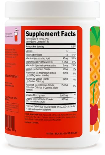 Image of Wellah Creatine + Electrolytes Powder (Fruit Punch) 30 Servings - Hydration Drink Mix with 3g of Creatine Monohydrate