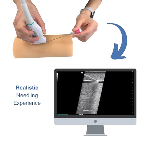 Echonect Ultraschall vaskulärer Zugang Phantom - Armmodell für IV- und Kathetertraining