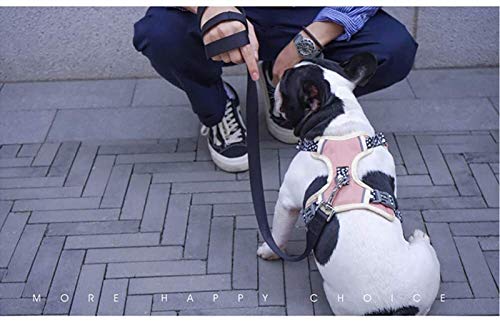 DHGTEP Pettorina di Nylon per Cani, Set di