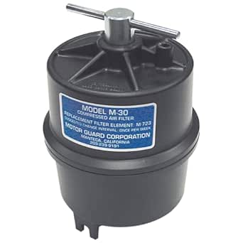Motor Guard M-30 1/4 NPT Submicronic Compressed Air Filter : Amazon.in ...