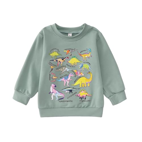 MODNTOGA Dinosaur Sweatshirt Toddler Boy Girl T-rex Ranch Crewneck Shirt Long Sleeve Dino Graphic Top Baby Fall Winter Outfit