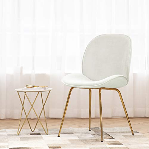 Art Leon Vanity Chair, Modern Beetle Shell Velvet Upholstered Dining Chair with Gold Metal Legs Cute Desk Chair for Living Dining Room Bedroom Makeup Dresser, Blush Pink