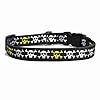 Yellow Dog Design Boy Skulls Dog Collar Fits Neck 14 to 20″, Medium 1″ Wide