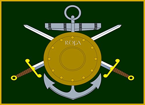 Drapeau Reserve Defense Forces Association Ireland grand format