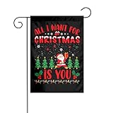 Garten Flaggen Alles, Was Ich Mir Zu Weihnachten Wünsche, Bist Du Hanging Flag Dekoration Personality Flag Uv-Beständig Gartens Banner Für Drinnen Outdoor Parade 30X45CM