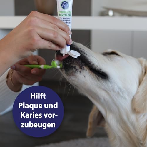 Canosept Hundezahnpasta Dental Gel 100g - Zahnpasta für Hunde - Zahnpasta Hund - Hunde Zahncreme - Zahnpflege Hund - bei Mundgeruch Hund - Zahnpasta Hund – Hundezahnpasta gegen Zahnstein