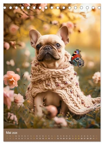 Frenchie Couture - Französische Bulldoggen in Strick-Chic (Tischkalender 2026 DIN A5 hoch), CALVENDO Monatskalender: Französische Bulldoggen in lustigen Hundestricksachen (CALVENDO Tiere)
