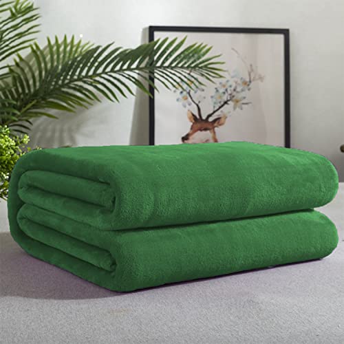 Greatoyar Manta De Franela Para Sofá, Manta De Franela Para Cama, Manta Para Mascotas, Mantas Ligeras, Extra Cálido, Sobrecama, Caliente, Transpirable Para Invierno, Color Verde Hierba, 130x160cm Greatoyar Manta De Franela Para Sofá, Manta De Franela Para Cama, Manta Para Mascotas, Mantas Ligeras, Extra Cálido, Sobrecama, Caliente, Transpirable Para Invierno, Color Verde Hierba, 130x160cm