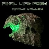 Final Life Form