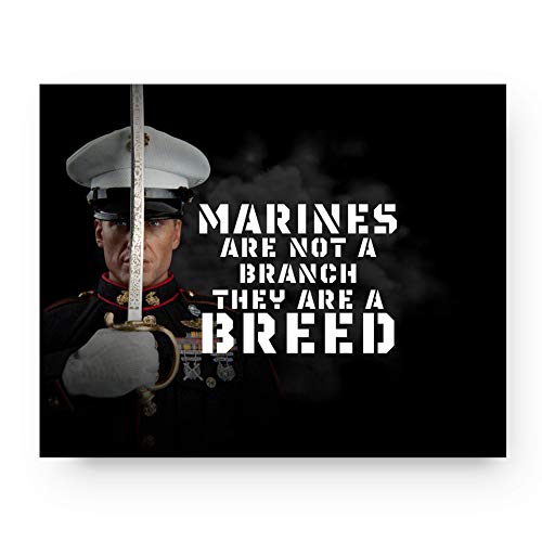 Best Marine Corps Wall Art, According To Military Veterans