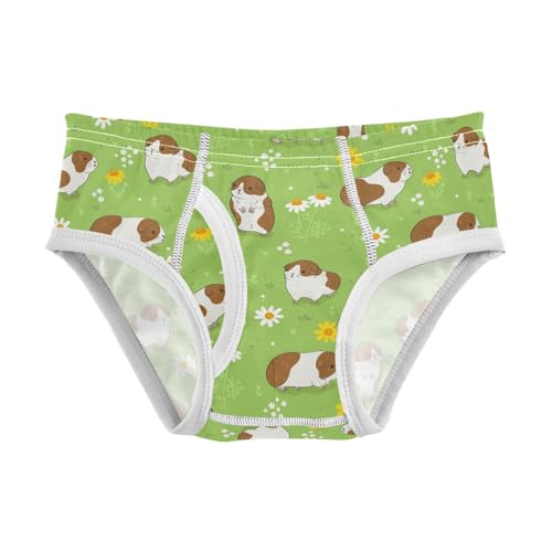 Boys Underwear Cotton Kids Briefs Soft Toddler Underwear Briefs 2T