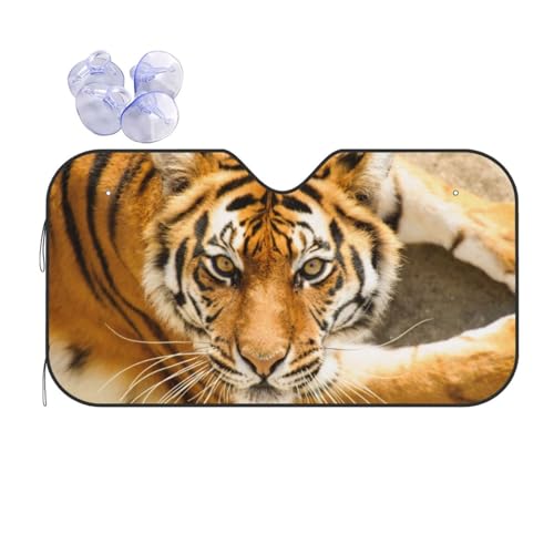 J[TVF[h  g  (1) J[tgJo[ ԗpTVF[h 悯 O΍ WJ@ 130x70cm z4t J[e ՌfM y