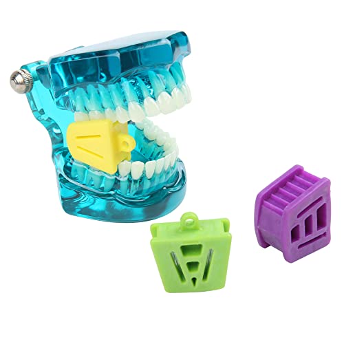 Aiocoid Dental Bite Block Oral Silicone Mouth Prop Support Saliva Ejector Suction Tip Large Medium And Small(12Pcs Multi Colors) #TOP3