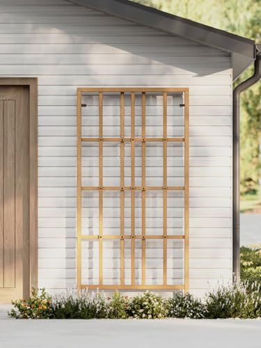 Cedar Modern Trellis 77 H x 39 W FSC Certified Sustainable Cedar Wood Outdoor Garden Trellis for Climbing Plants Vines & Flowers Durable & Stylish Design