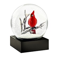 Amazon.com: CoolSnowGlobes Snowflake Cool Snow Globe : Home