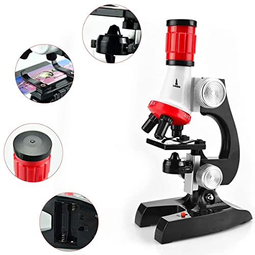 Microscópio Infantil Óptico Lorben Crianças 100x 400x 1200x