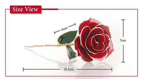 Itian Oro 24k Immerso Reale Fiore della Rosa