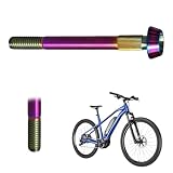 EcoGleam M6 TC4 Ammortizzatore per bici in titanio - kit viti e dadi
