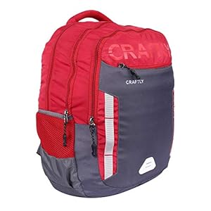 Office Backpack for Men and Women | Boys and Girls Laptop Bags |Waterproof |School and College Bags and Backpack with Rain Cover (Red)
