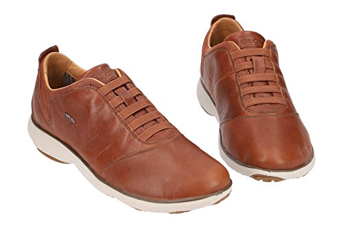 Image of Geox Men's Mnebula17 Fashion Sneaker | Casual Shoes
