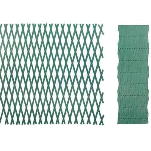 EffeDecor Traliccio Estensibile in PVC Rinforzato Verde Ideale per Piante,Fiori,Rampicanti da Esterno Decorazione da Parete per Terrazzo,Balcone,Giardino (Verde, 2x1 MT)