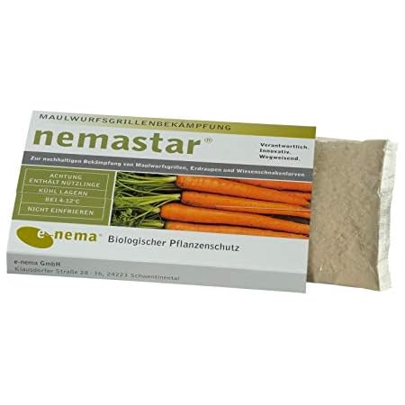 Nemastar Sc Nematoden Zur Bekampfung Von Maulwurfsgrillen Wiesenschnaken Und Erdraupen 50 Mio Fur 100qm Amazon De Garten
