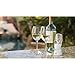 Vinturi Classic Essential Wine Aerator Pourer and Decanter Provides Enhanced Flavors with Smoother Finish Features Easy to Grip Silicone Body and No-Drip Stand, White