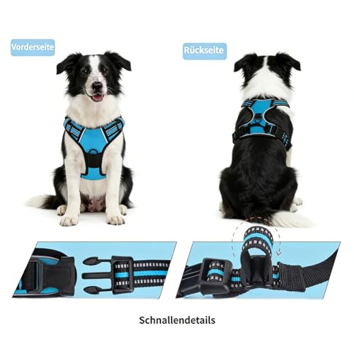 Fellstern Anti-Zieh-Geschirr, Atmungsaktiv & Gepolstert Fellstern Geschirr Hund, Anti Zug Hundegeschirr mit Front Clip, Einstellbar Antizuggeschirr für Hunde Jeder Größe (Schwarz,M)