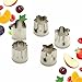 StarPack Vegetable Cutter Shapes Set (5 Piece) – Mini Cookie Cutters, Vegetable Shape Cutters for Kids with 101 Cooking Tips