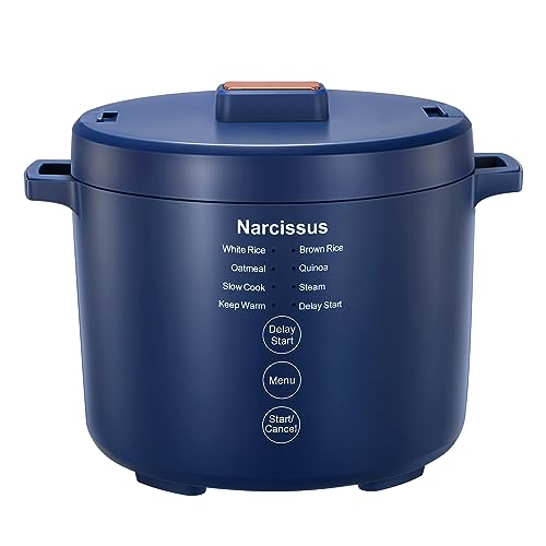 Find The Best Rice Cooker Under 100 Reviews & Comparison Katynel