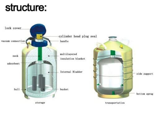 Serbatoio criogenico dell'azoto del contenitore del carro armato dell'azoto liquido 6L YDS-6 w/cinghie