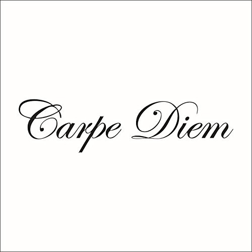 WallDecalArt "Carpe Diem" Quote Saying Vinyl Wall Decal