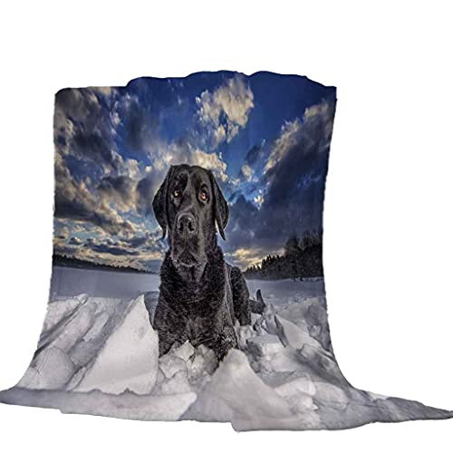 Couverture flanelle microfibre 3D au toucher soyeux et durable