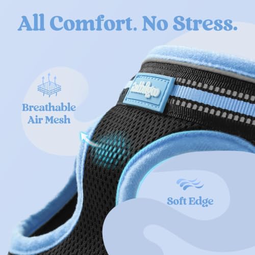 Image of rabbitgoo Cat Harness and Leash Set, Step-in Soft Vest, Black & Light Blue | Escape Proof, Lightweight, Easy-on & Adjustable, Hook & Loop with Buckle, Reflective, for Kittens & Small Cats Walks, S