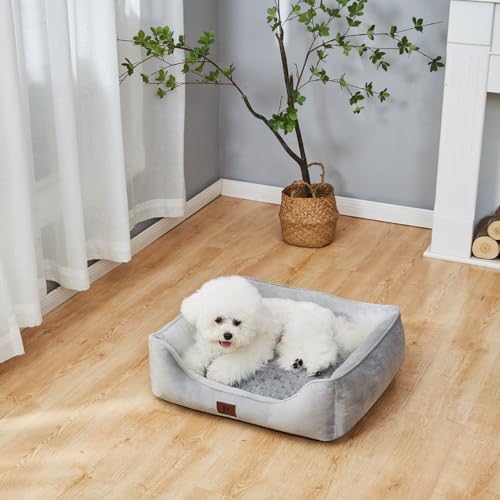 Snocyo Hundebett Kleine Hunde, Katzenbett Flauschig und Kuschelig, Waschbar und Super Weiches Hundesofa Hundekissen, Gepolstert Hundematte, Grau, 55×45×16cm