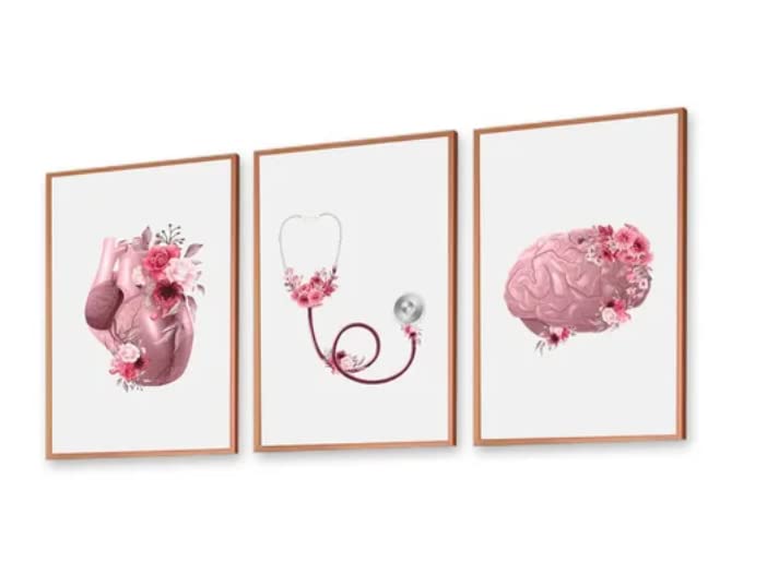 Kit 3 Quadros Medicina Flores Tons Rosa Rose Gold Papel de Parede Move 14
