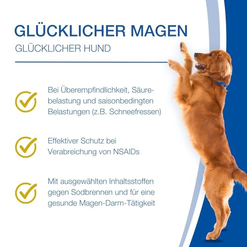 NutriLabs Acid Protect Hund Magenkräuter Kautabletten zur Unterstützung bei empfindlichem Magen, mit Montmorillonit & Estifor Kautabletten, 10 Kautabletten