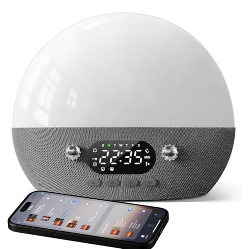 Dekala RestOnn Sunrise Alarm Clock Sunset Sound Machine 7 Day Programmable Loud Dual Alarm Clock