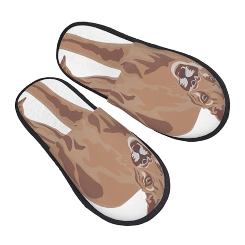 AJCIlXA[g Xbp ~ H  Y fB[X p qp E  g yĖՂɋ_炩 􂢂₷A^тɕ֗ jp M