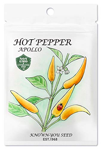 Non-GMO, Untreated Seeds, F1 Hybrid Hot Pepper Seeds, Variety: Apollo