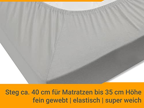 Drap housse 200x220 coton Npluseins doux couleur argent