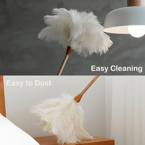 Image of Ostrich Feather Dusters, Naturally Soft, Easy to Dust, Multi-Purpose Use, Solid Wood Handle, 17.3'' Long, White
